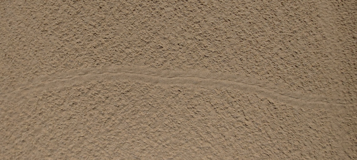 snake track in sand